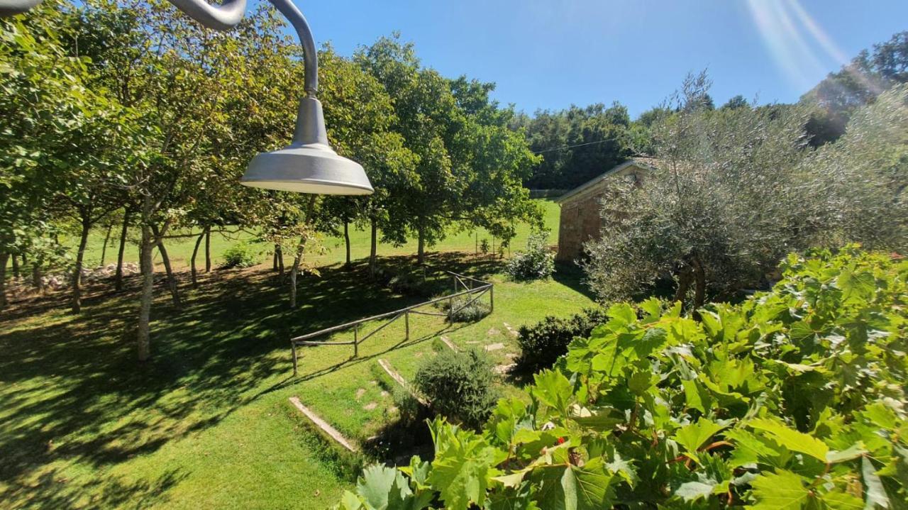Al Noceto Countryside Bed & Breakfast Busso Exterior foto